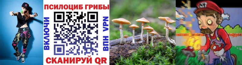 Галлюциногенные грибы Magic Shrooms  hydra ONION  Орск 